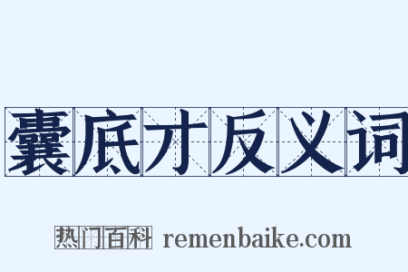 囊底才反义词是什么意思的图片